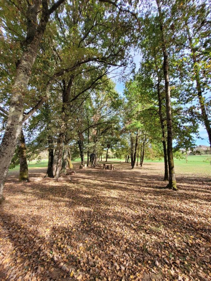 Maison Neuve Bord De Dordogne Lanzac Zewnętrze zdjęcie